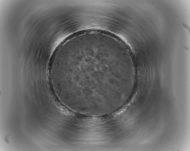 X0000096430879200801241336