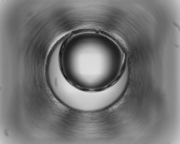 X0000096430880200801241336