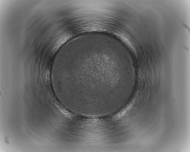 X0000096430881200801241336