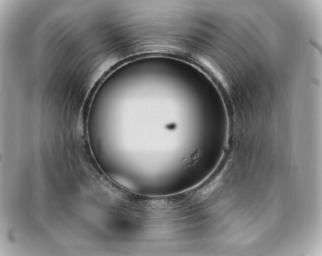 X0000096430883200801241336