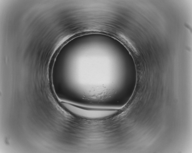 X0000096430884200801241336