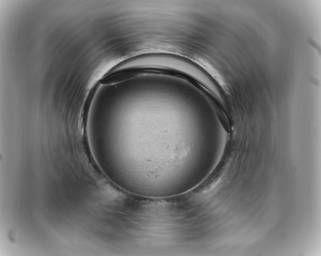 X0000096430885200801241336