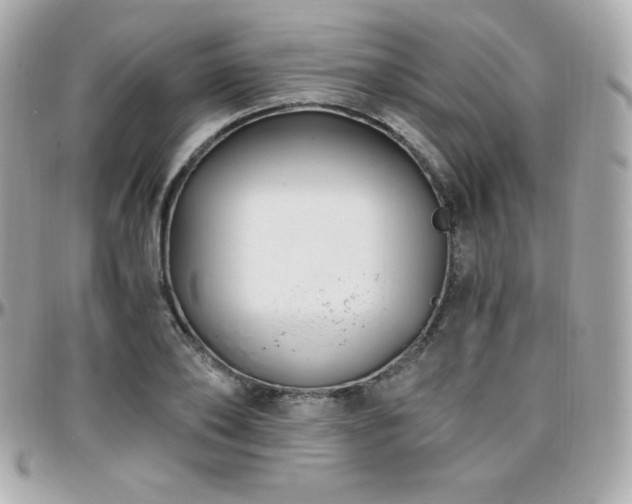 X0000096430886200801241336