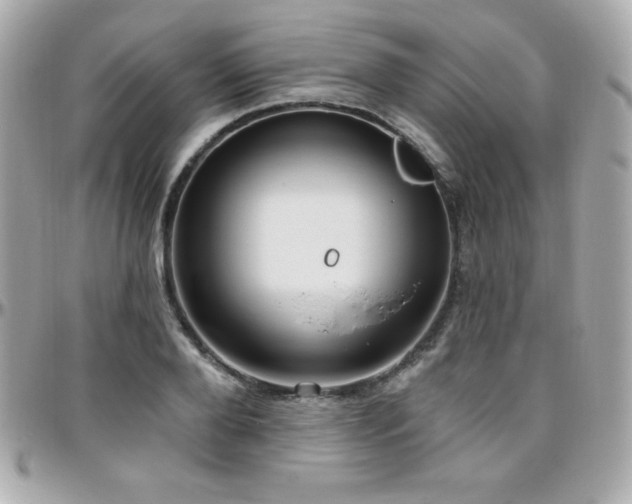 X0000096430888200801241336