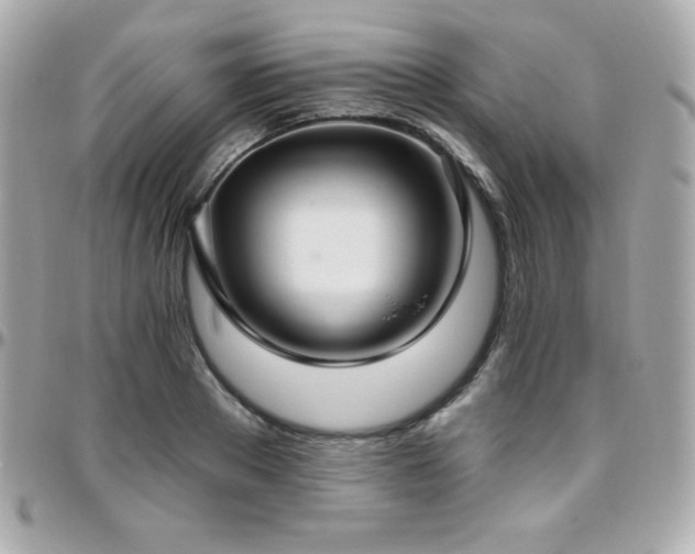 X0000096430889200801241336