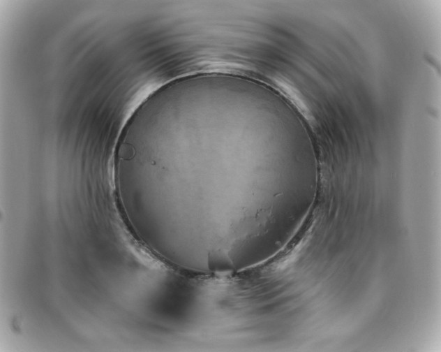 X0000096430891200801241336