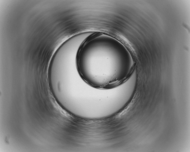 X0000096430892200801241336