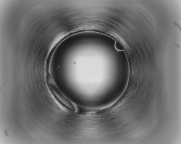 X0000096430894200801241336