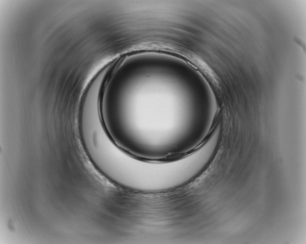 X0000096430896200801241336