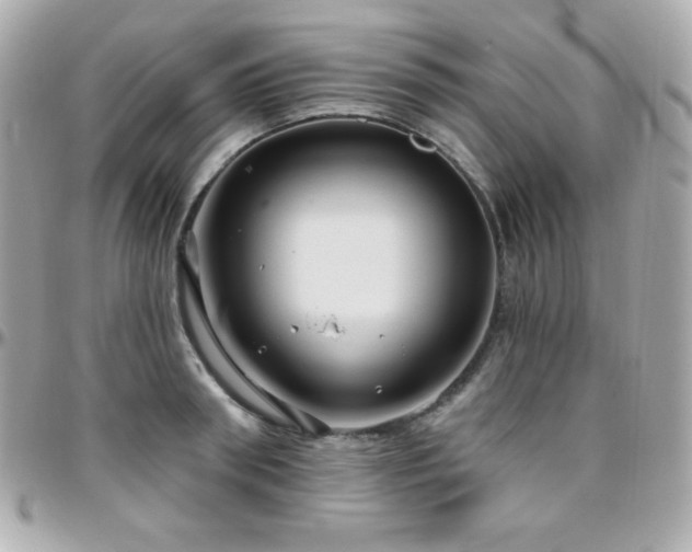 X0000096430898200801241336