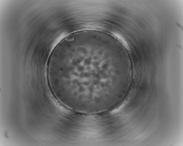 X0000096430899200801241336
