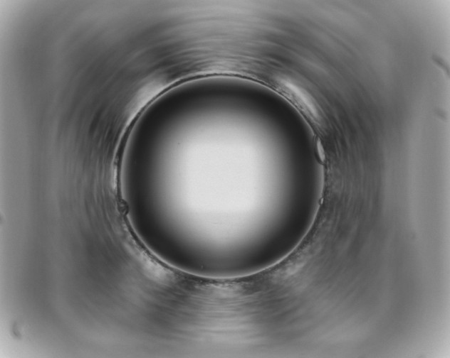 X0000096430900200801241336
