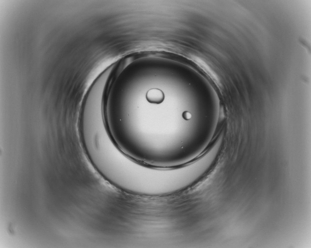 X0000096430901200801241336