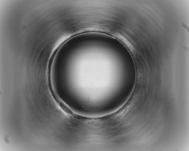 X0000096430902200801241336