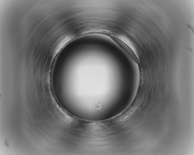 X0000096430906200801241336