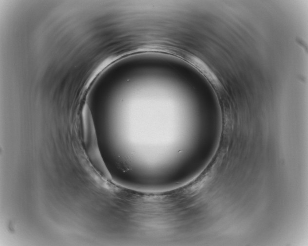 X0000096430908200801241336