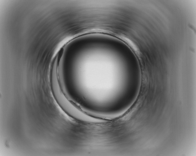 X0000096430910200801241336