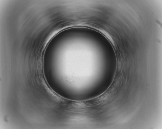 X0000096430911200801241336