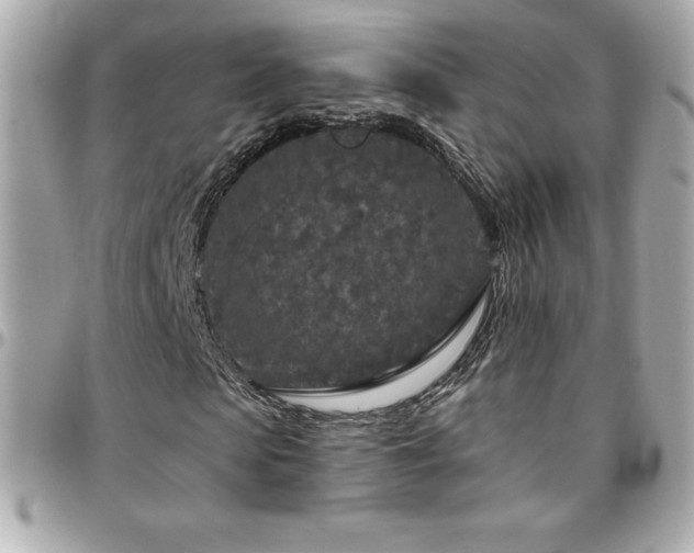 X0000096430913200801241335