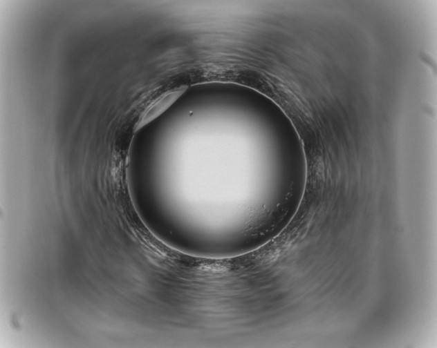 X0000096430914200801241335
