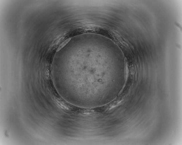 X0000096430916200801241335