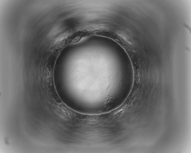 X0000096430917200801241335