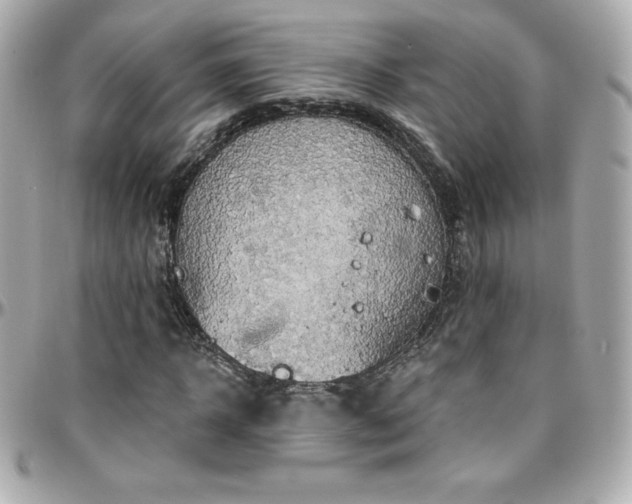 X0000096430918200801241335