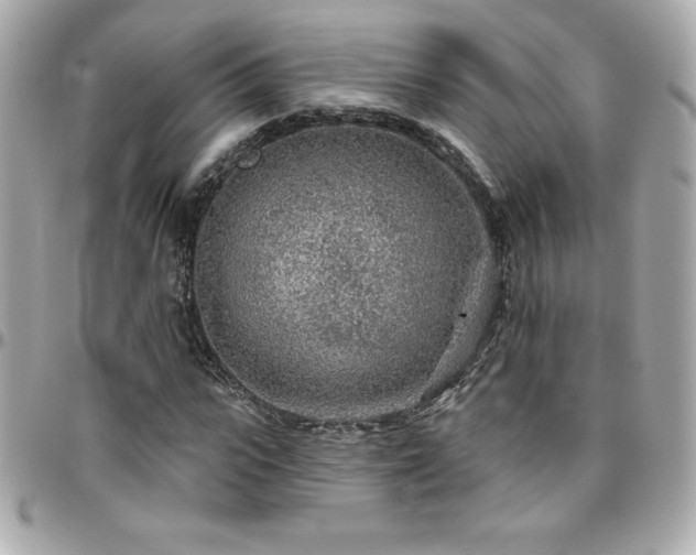 X0000096430919200801241335
