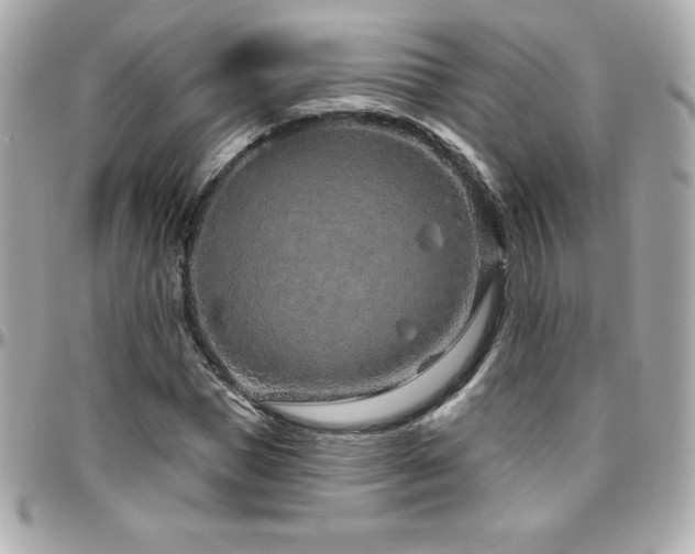 X0000096430921200801241335