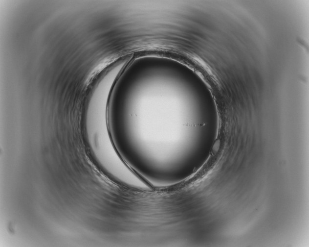 X0000096430922200801241335