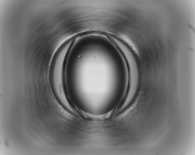 X0000096430924200801241335