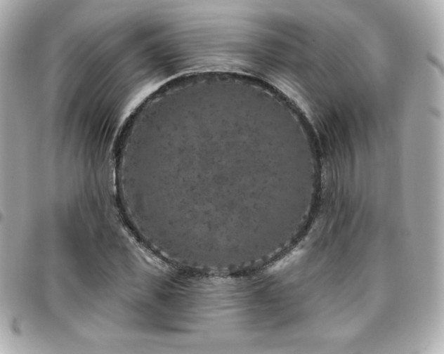 X0000096430925200801241335