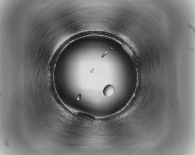 X0000096430926200801241335