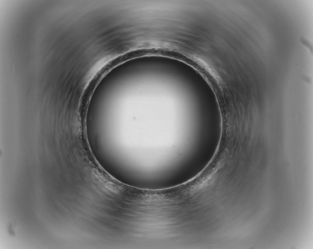 X0000096430927200801241335