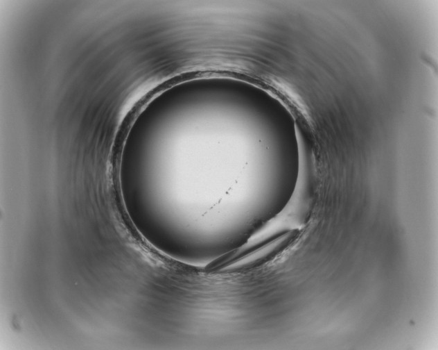 X0000096430928200801241335