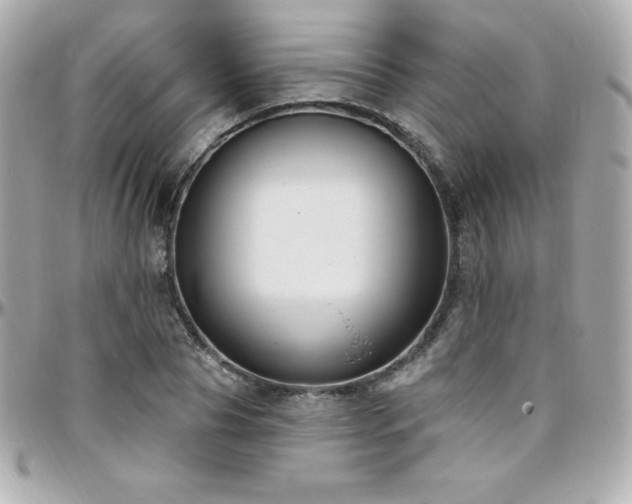 X0000096430929200801241335