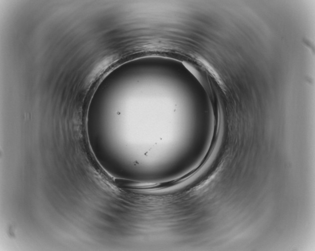 X0000096430930200801241335
