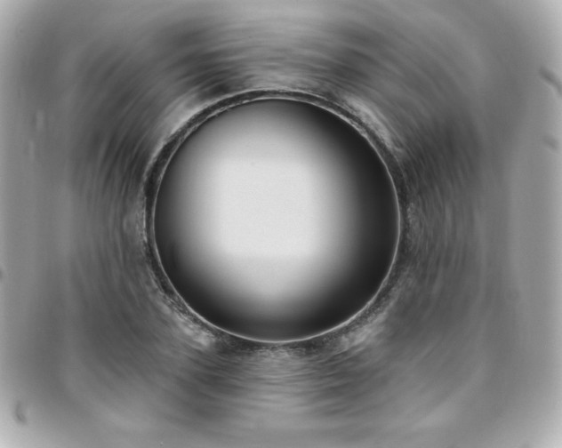 X0000096430931200801241335