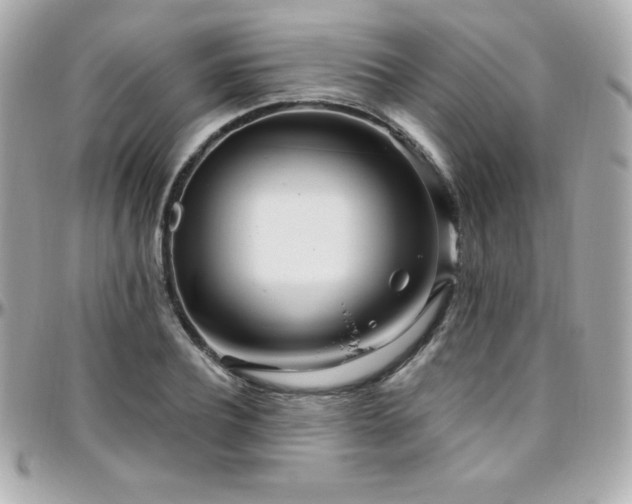 X0000096430932200801241335