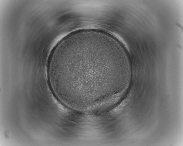 X0000096430935200801241335