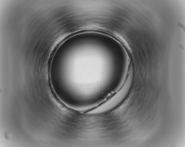 X0000096430939200801241335