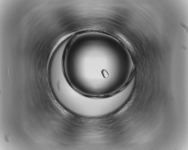 X0000096430940200801241335