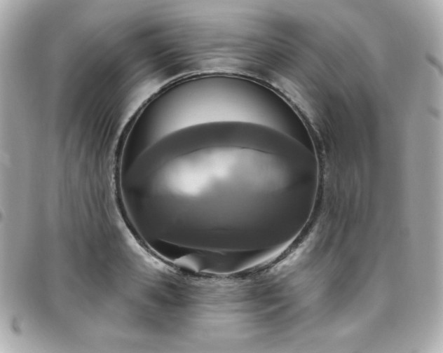 X0000096430941200801241335