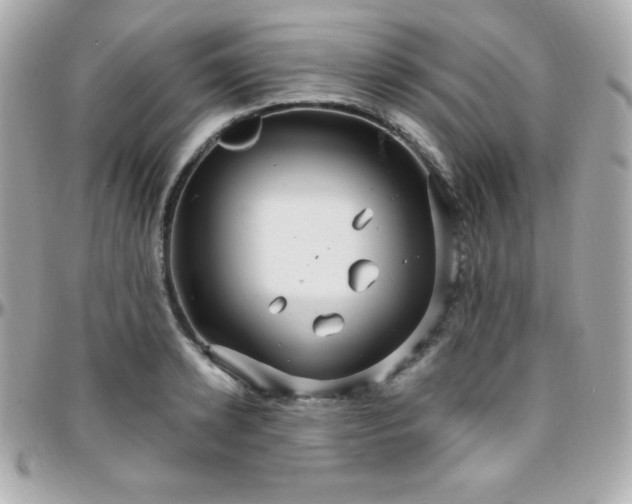 X0000096430942200801241335