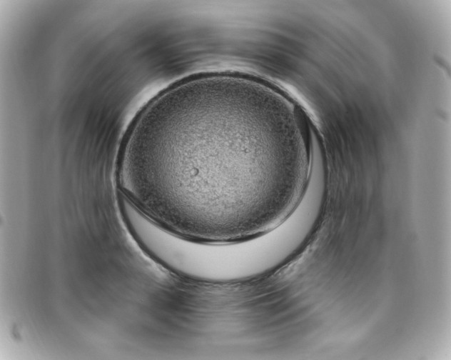 X0000096430943200801241335