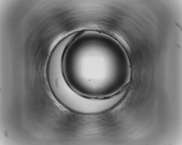 X0000096430944200801241335