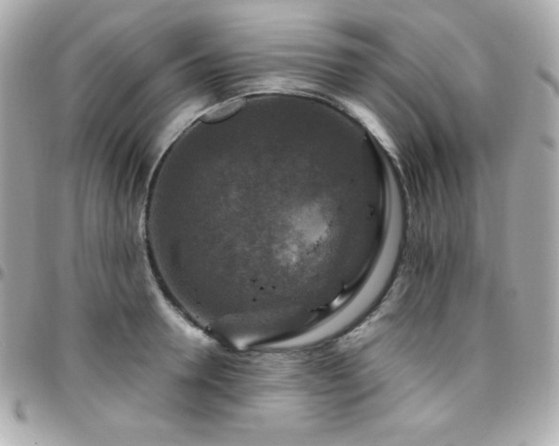 X0000096430946200801241335