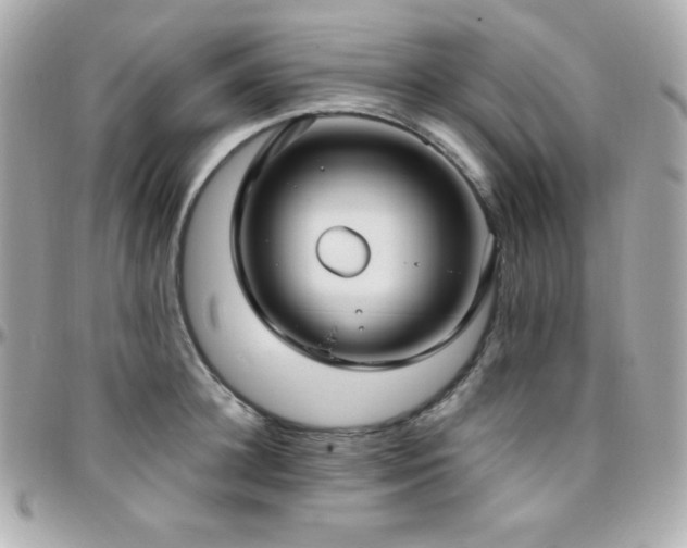 X0000096430948200801241335