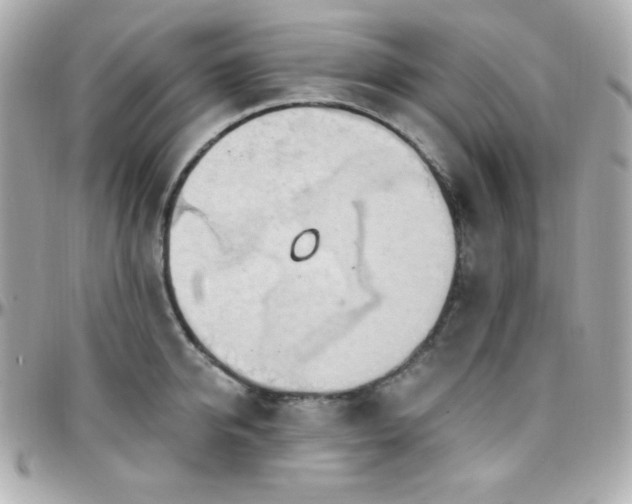 X0000096430950200801241335