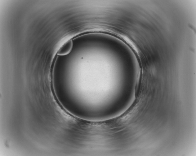 X0000096430951200801241335